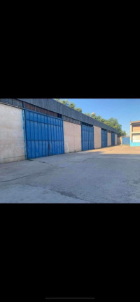 hangar-location-blida-boufarik-algerie