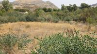 أرض-بيع-سطيف-حمام-قرقور-الجزائر