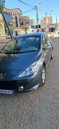 Peugeot 307 2006 Oxygo