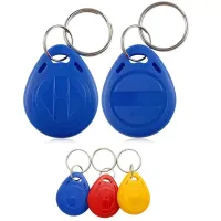 CARTE PROXIMITE 125KHZ FORME PORTE CLEF