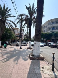 apartment-sell-f4-alger-ain-taya-algeria