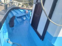 قوارب-bateux-de-peche-1450-m-sardinier-الجزائر-وسط