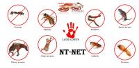 nettoyage-jardinage-prestations-de-service-en-hygiene-antiparasitaire-et-traitement-des-nuisances-ain-el-turck-oran-algerie