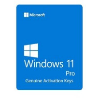 autre-windows-11-10-pro-cle-dactivation-activation-a-vie-alger-centre-algerie