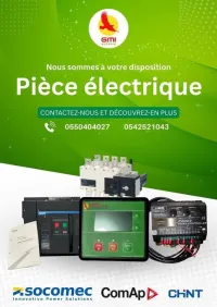 Armoire électriques avec Disjoncteur CHINT NXZ et Carte de Commande ELECON ATS