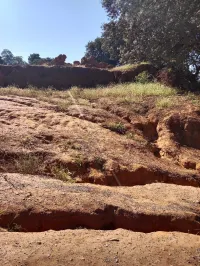 Vente Terrain Médéa Medea