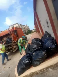 تنظيف والبستنة 