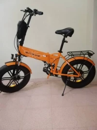 Enguie Vélo éléctrique 2024