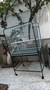 Cage perroquet 