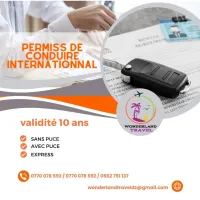 permet de conduire internationnal