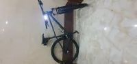 Trek maxxis 