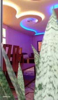 Location Appartement F3 Boumerdès Boumerdes