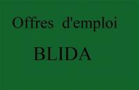 commercial-marketing-offre-demploi-responsable-multi-niveaux-a-blida-algerie