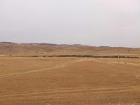 terrain-vente-medea-ksar-boukhari-algerie