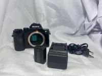 alpha 7 