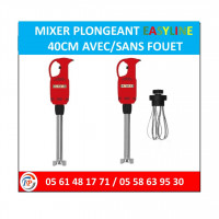 alimentaire-et-restauration-mixer-plongeant-easyline-40cm-avecsans-fouet-cheraga-alger-algerie