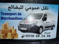 transport-et-demenagement-demmenagement-bab-ezzouar-alger-algerie