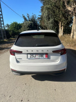 voitures-skoda-fabia-2023-style-boufarik-blida-algerie