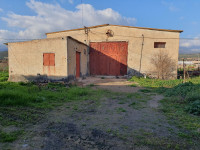 hangar-location-bouira-ahnif-algerie