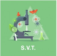 ecoles-formations-professeur-enseignante-svt-cned-dnb-bac-suivi-personnalise-birkhadem-alger-algerie