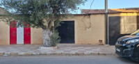 terrain-agricole-vente-sidi-bel-abbes-boukhanafis-algerie