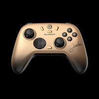 gamepads-simulators-manette-gamesir-nova-2-lite-edition-champion-alger-centre-algeria