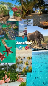 Zanzibar زنزيبار
