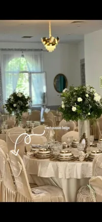 Housses de chaises velours  Rose & Beige