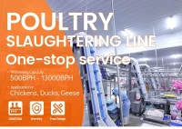 Méthode d'abattage halal d'équipement d'abattoir de poulet