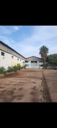 Vente Usine Alger Gue de constantine