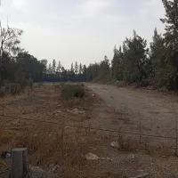 Vente Terrain Alger Baraki