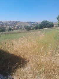 أرض-بيع-بومرداس-أولاد-موسى-الجزائر