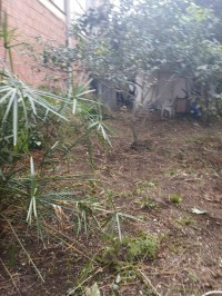 أرض-بيع-الجزائر-عين-طاية