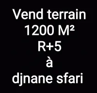 Vente Terrain Alger Birkhadem