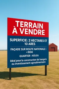 Vente Terrain Tipaza Kolea