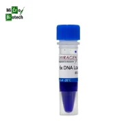 مواد-أولية-6x-dna-loading-dye-colorant-de-chargement-سطيف-الجزائر