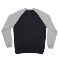 DC SHOES | Sweat A Capuche Homme DC STAR PILOT thumbnail 4