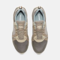 أحذية-رياضية-timberland-baskets-winsor-trail-شراقة-الجزائر