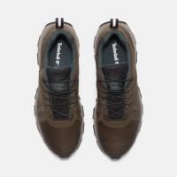 أحذية-رياضية-timberland-baskets-winsor-trail-شراقة-الجزائر