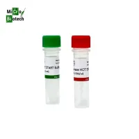 مواد-أولية-taq-polymerase-hot-start-سطيف-الجزائر