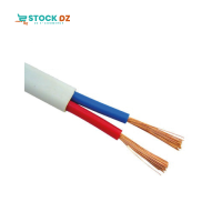 صناعة-و-تصنيع-cable-souple-2x25mm-ref0211-pro-بئر-توتة-الجزائر