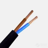 صناعة-و-تصنيع-cable-2x4mm-rigide-ref0220-pro-بئر-توتة-الجزائر