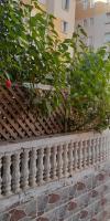 appartement-echange-f3-alger-el-harrach-algerie