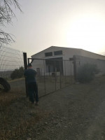 hangar-location-bejaia-akbou-algerie