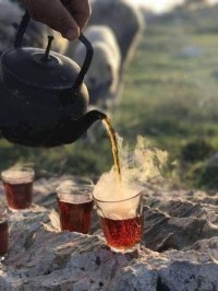 تجارة-و-مبيعات-خصنا-عامل-في-محل-شاي-الكاليتوس-الجزائر
