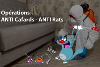 nettoyage-jardinage-operation-anti-rats-souris-et-cafards-hydra-alger-algerie