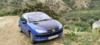 citadine-peugeot-206-2000-beni-oulbane-skikda-algerie