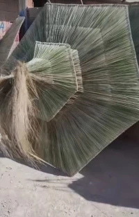 Parassol