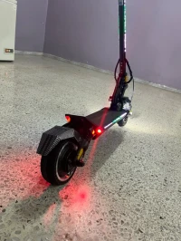 Dualtron mini