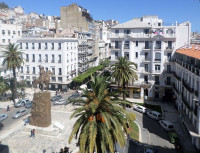 local-vente-alger-centre-algerie